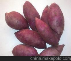 大理州紫薯種植基地銷(xiāo)售廠家價(jià)格供應(yīng)商詳解——冠縣樂(lè)農(nóng)紫薯種植專業(yè)合作社
